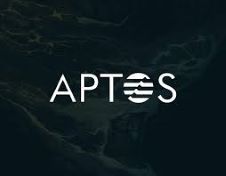 我可以将Aptos 添加到MetaMask 钱包吗？Petra Aptos 钱包是什么？