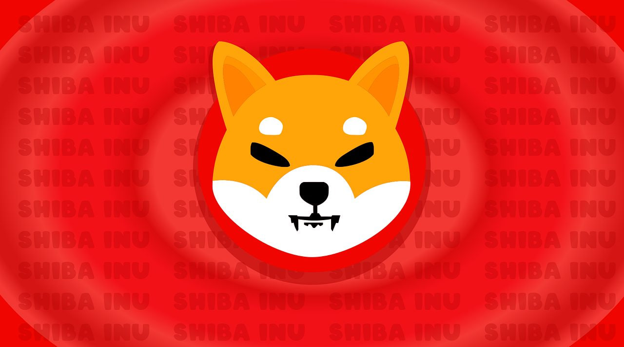 Shiba의 가치는 얼마입니까? 2023년에 Shiba Inu에 투자해야 합니까?