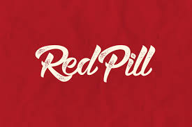 What is Decentralized AI Platform Redpill? How Does It Work?