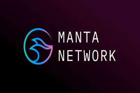 How Much is Manta TVL in 2024? A Look at Manta Pacific's Growth