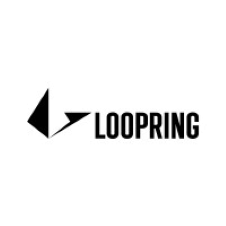 Loopring是什麽？對以太坊用戶的好處