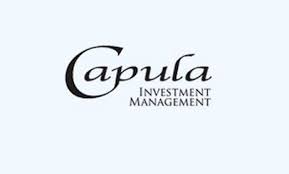 Is Capula a Hedge Fund? What is a Hedge Fund?