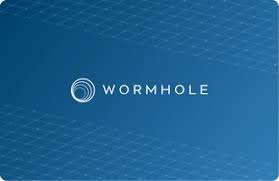 What is the Crypto Wormhole Meaning? How Does It Work?