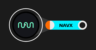 What is NAVX Token? What is It Used For?