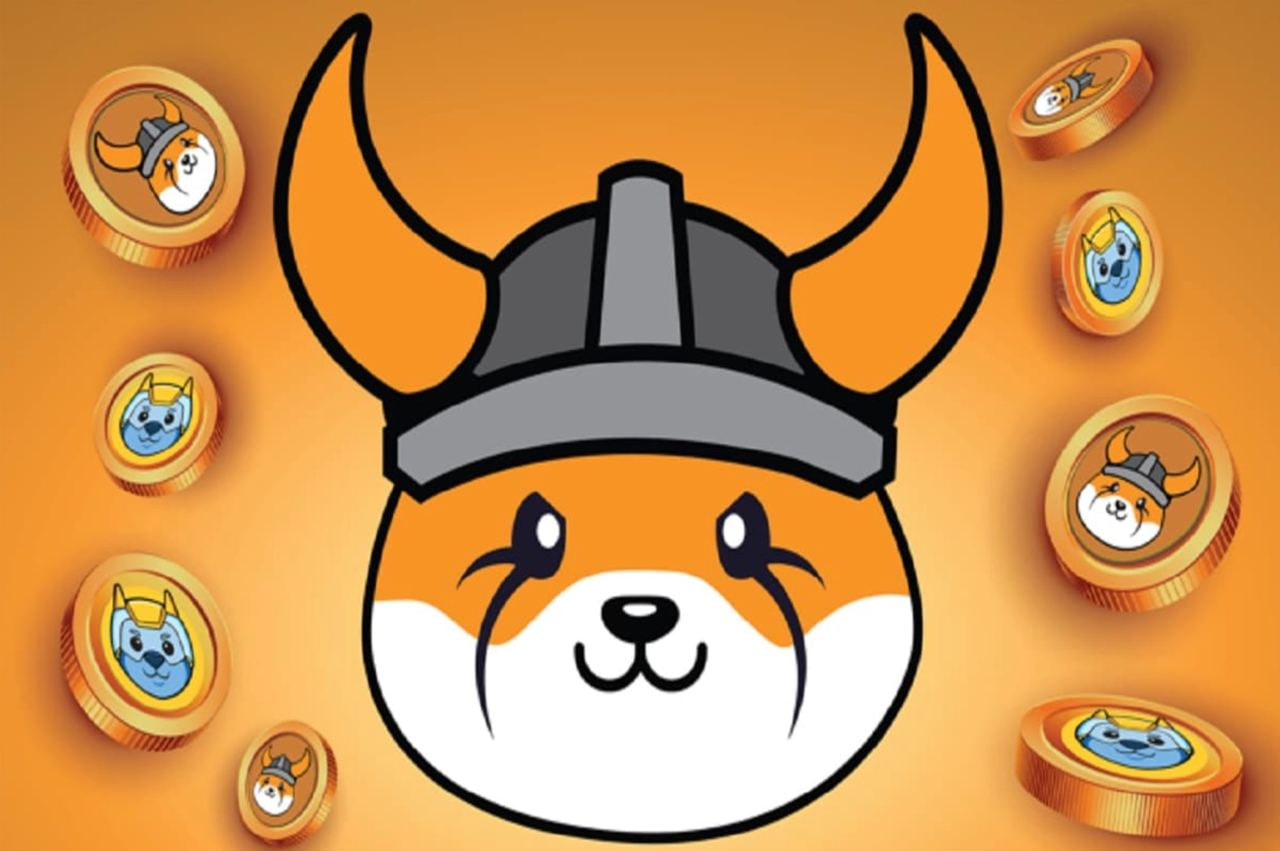 FLOKI, 일일 15% 상승 후 상위 100위 진입