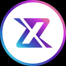 什麽是XRADERS？XRADERS 面臨哪些挑戰？