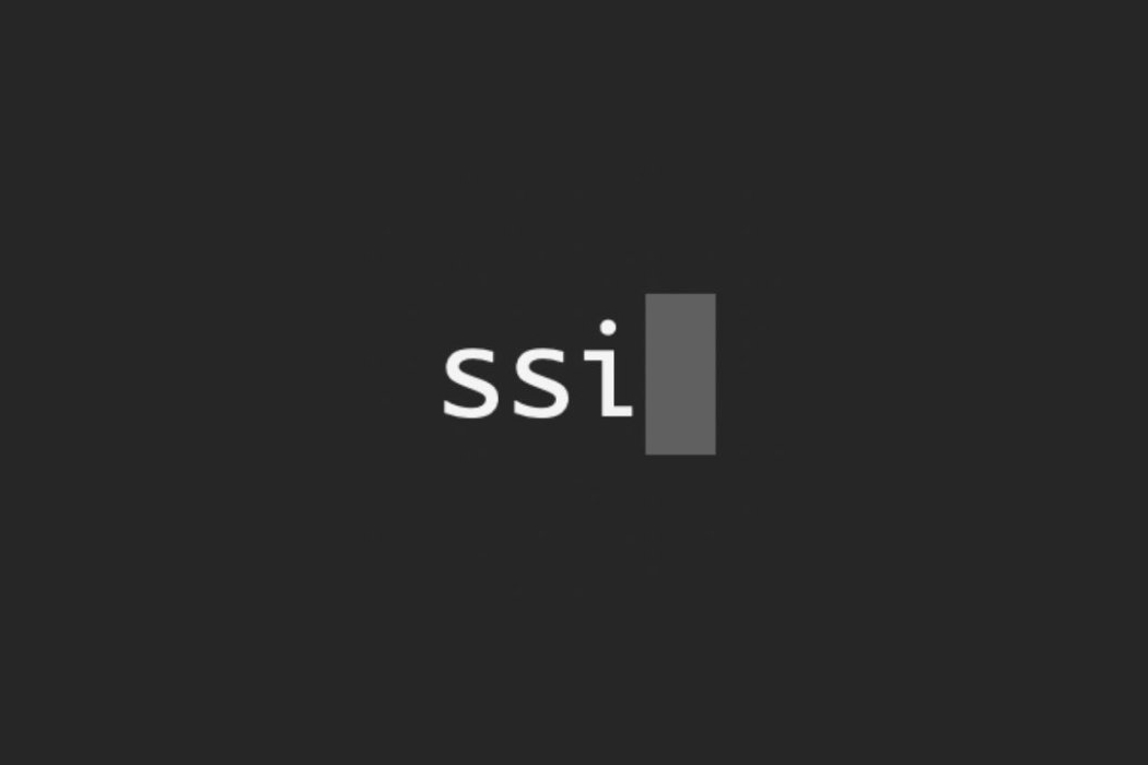 What Is SSI? What Are Its Plans for the Future?