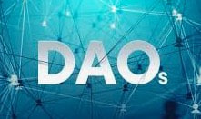 Panda DAO, 내분으로 인해 해산 및 투자자 자산 반환