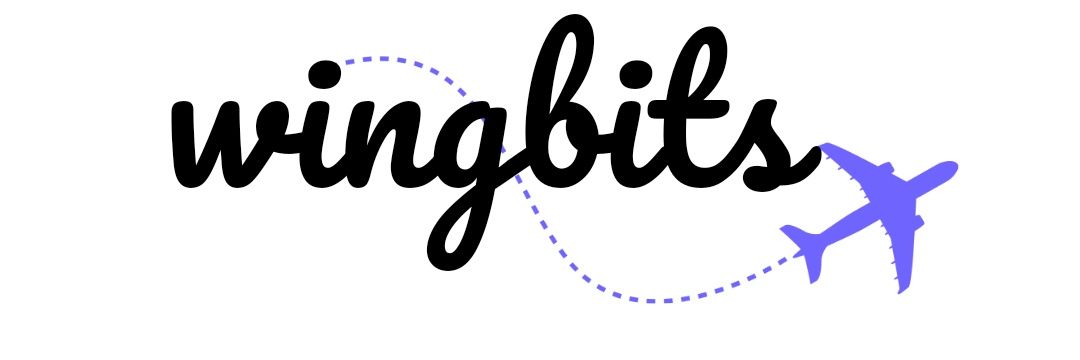 What is Wingbits? How Does It Work?