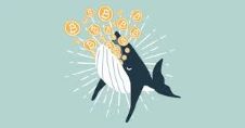 比特幣巨鯨交易自三月價格峰值以來明顯下降
