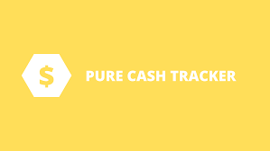 What is Pure cash? What Long-Term Innovations Does It Introduce?