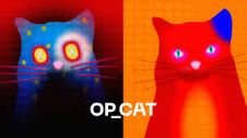 什麽是 CAT20?CAT20提供了哪些獨特功能?