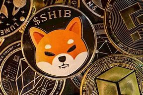 SHIB Army에 따르면 새로운 코인 츠카 데지타루의 창작자는 료시(TSUKA)