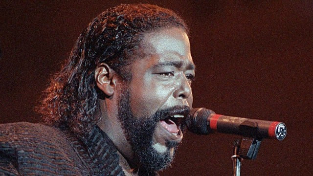 Barry White의 순자산: Barry Silbert는 어떻게 순자산을 늘렸습니까?