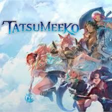 Tatsumeeko 是什么? Tatsumeeko的未来计划是什么?
