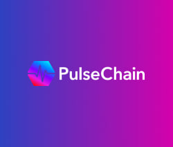 PulseChain 테스트넷을 메타마스크에 추가할 수 있습니까? PulseChain 테스트넷을 사용하는 방법