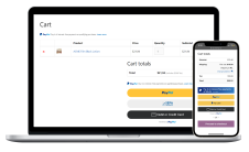 PayPal Complete Payments是什麽? 它的主要功能是什麽?