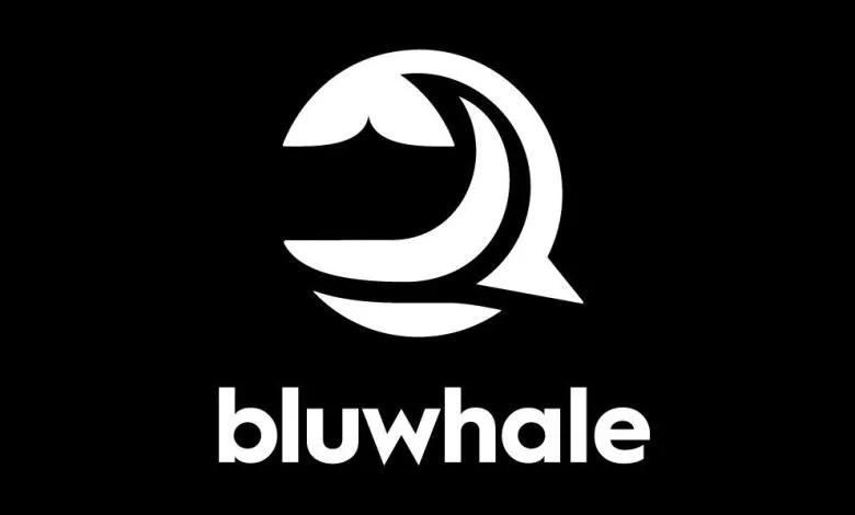 What Is Bluwhale and How Is It Changing Web3 Interactions?