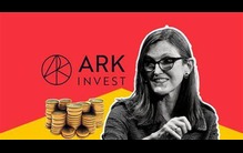 Cathie Wood的ARK Invest在股价飙升之际出售了价值3600万美元的Robinhood股票