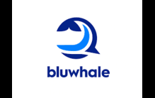 Bluwhale是什么？Bluwhale如何改变Web3互动？
