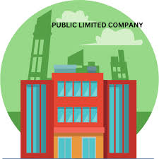 What Is a Public Limited Company? How Does It Operate?