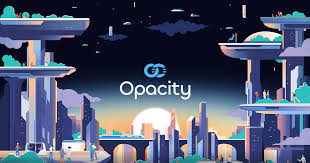What Is Opacity Network and How Does It Ensure Data Privacy?