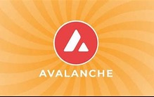 什麼是 Avalanche Card，如何運作的？