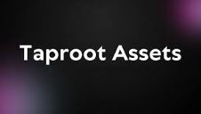 闪电实验室的Taproot Assets是什么? Taproot Assets如何运作?
