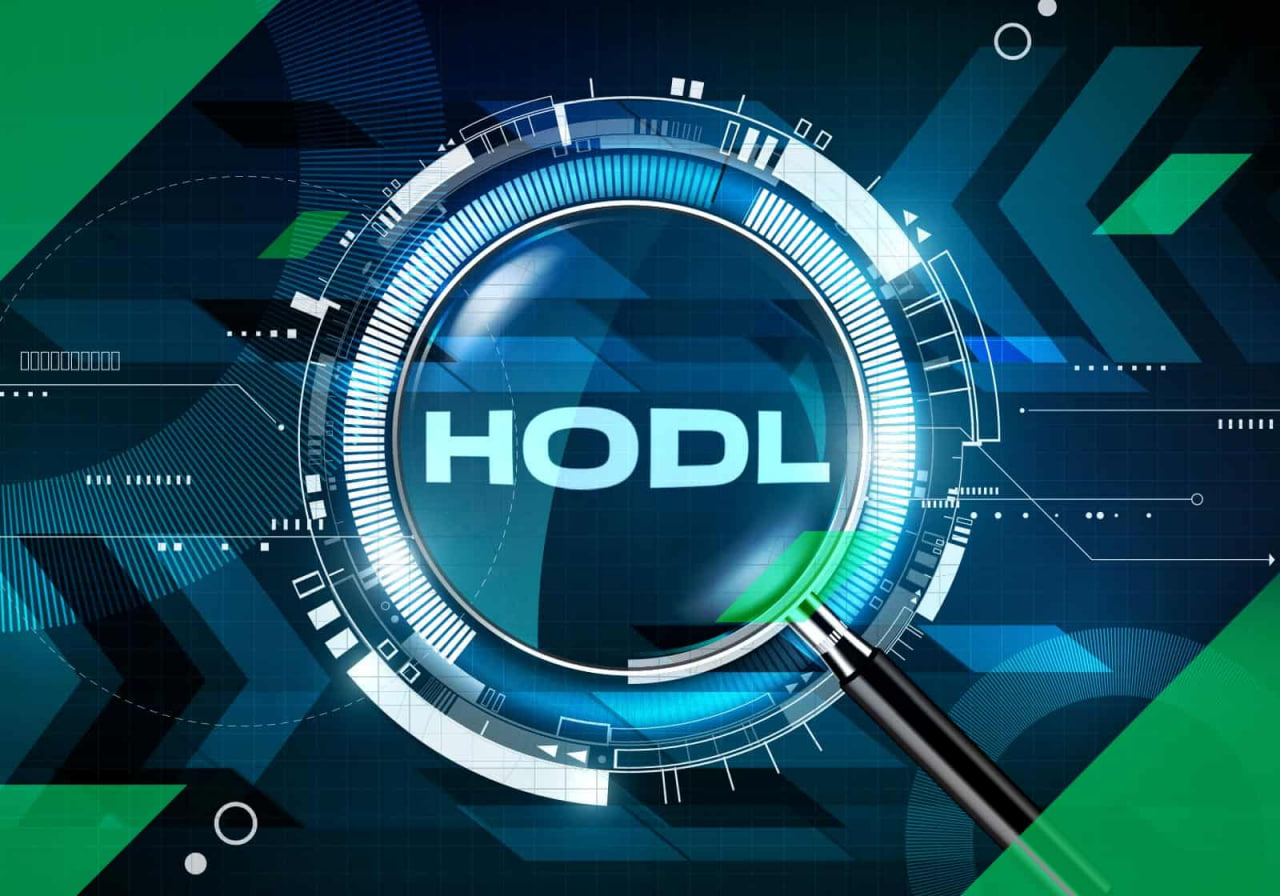 호들러란 무엇입니까? 호들(Hodl)의 의미는 무엇입니까?
