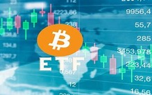 女武神賦能加密投資者：加入比特幣現貨 ETF 申請熱潮，拓展期貨和礦企 ETF 產品