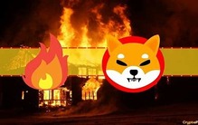 柴犬推特账号因被暂停而引发热议