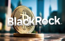 黑石的比特币ETF点燃了乐观情绪，促使新申请激增