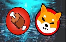什麼是加密貨幣中的Shiba Inu BONE？Shiba BONE的用途是什麼？