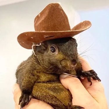 Peanut the Squirrel