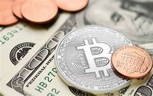 比特币的美元价格是多少？我可以在哪里购买比特币？