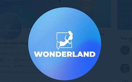 TIME Wonderland SEC 發生了什麼事？TIME Wonderland是否“終結”了？
