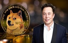 埃隆·马斯克请求驳回258亿美元的狗狗币诉讼