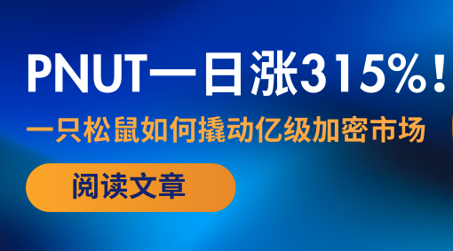 PNUT暴涨231%！解析一只松鼠如何撬动亿级加密市场？