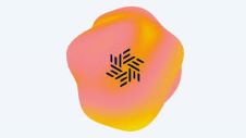 Connext 更名为Everclear：背后的原因是什么？