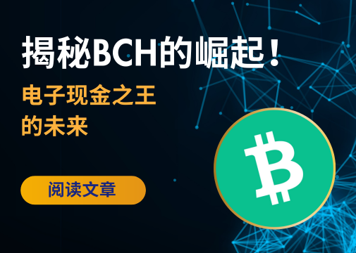 BCH一日涨19%:BCH涨幅背后的关键推动力是什么?