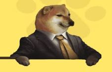 Lord Cheems是什么？Lord Cheems是如何运作的？