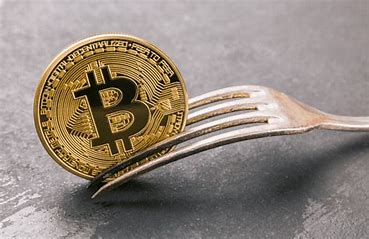 加密貨幣中的分叉是什麼意思？爲什麼加密貨幣中的分叉很重要？