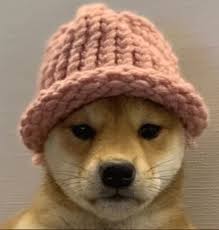 What is Wifdog NFT? Why is It Popular?