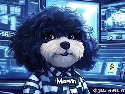 What is Marvin7055? Why is It a Growing Meme Coin?