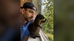 Who is Mark Longo? How Did He Gain Fame with a Squirrel?