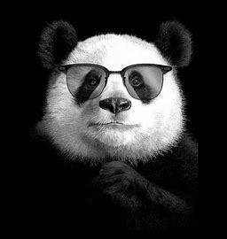 PUNDU是什麼？為何PUNDU引發關注？
