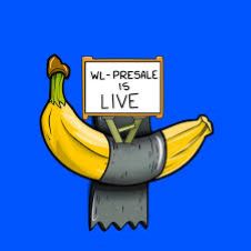 什麼是BANANA？為什麼在BSC生態系中重要？