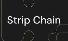Stripchain 是什么？如何促进区块链互操作性？