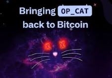 OP_CAT 是否应该回归比特币？