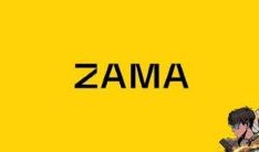 什么是 Zama OG NFT？它为什么对 ZAMA 代币很重要？
